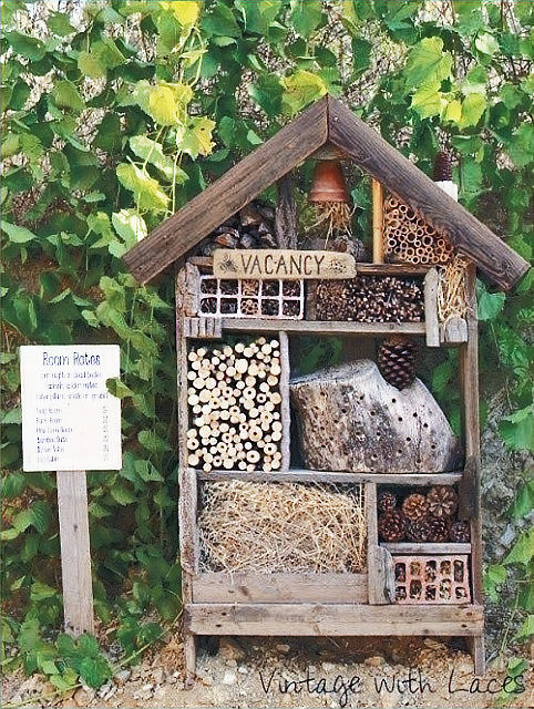 a bug house for the overwintering insects.