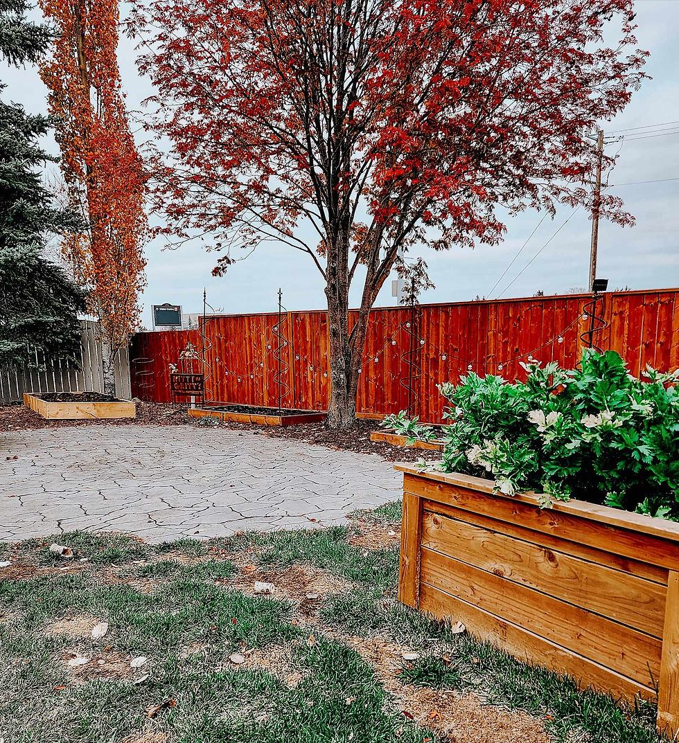 A picture of the patio cleaned up and ready for winter, taken the day before the snow came.