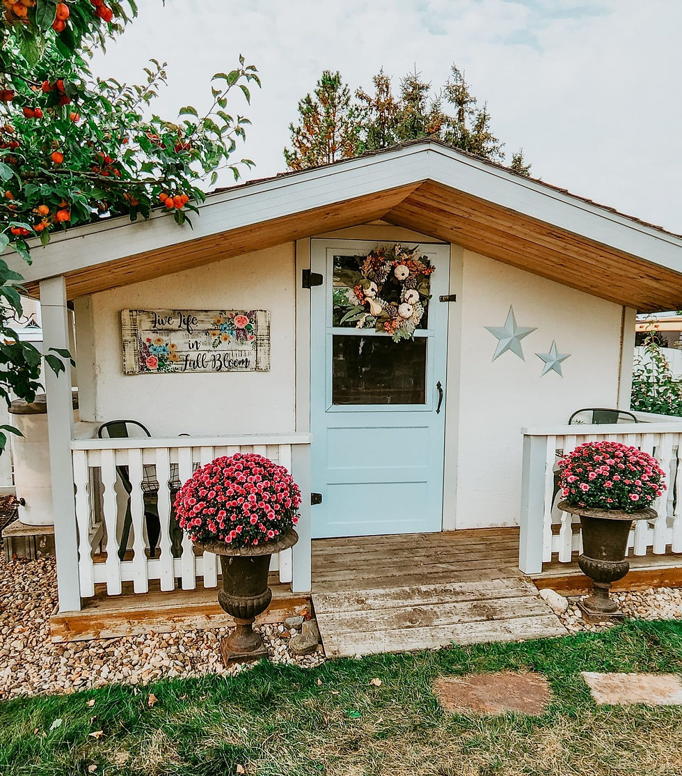 A lovely backyard shed with a patio and blue door.