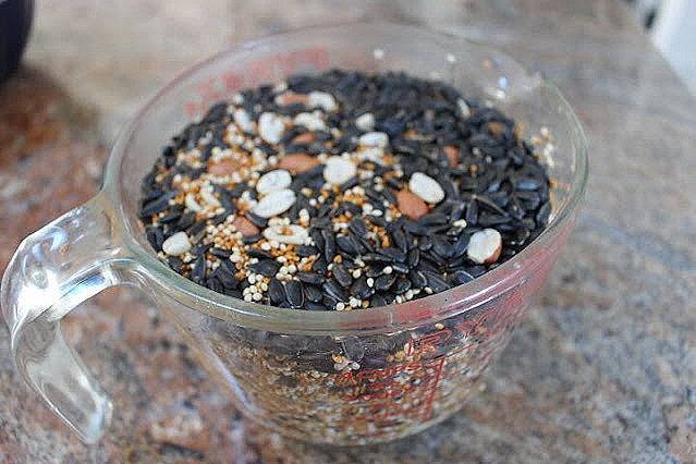 A measuring cup full of birdseed to make a birdseed wreath.