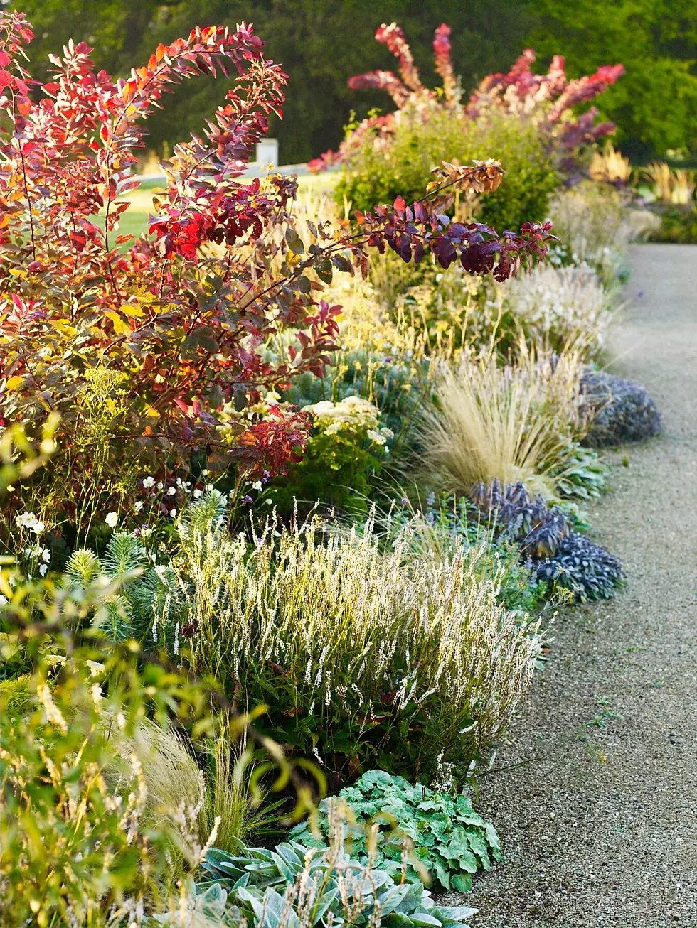 What to do in your garden in October.