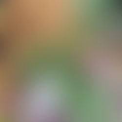 Sunday Bits #43 (garlic, fertilising tips, beets, seed saving, growing flowers for fall)