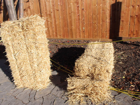 Sunday Bits #52 (Mulch, soup season, monster mash cookies) 