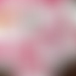 Sunday Bits #63 (Tips to help avoid the winter blues)