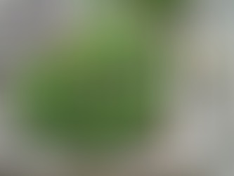 Sunday Bits #28 ( filling beds, compost, rhubarb recipes, pickled radishes...)