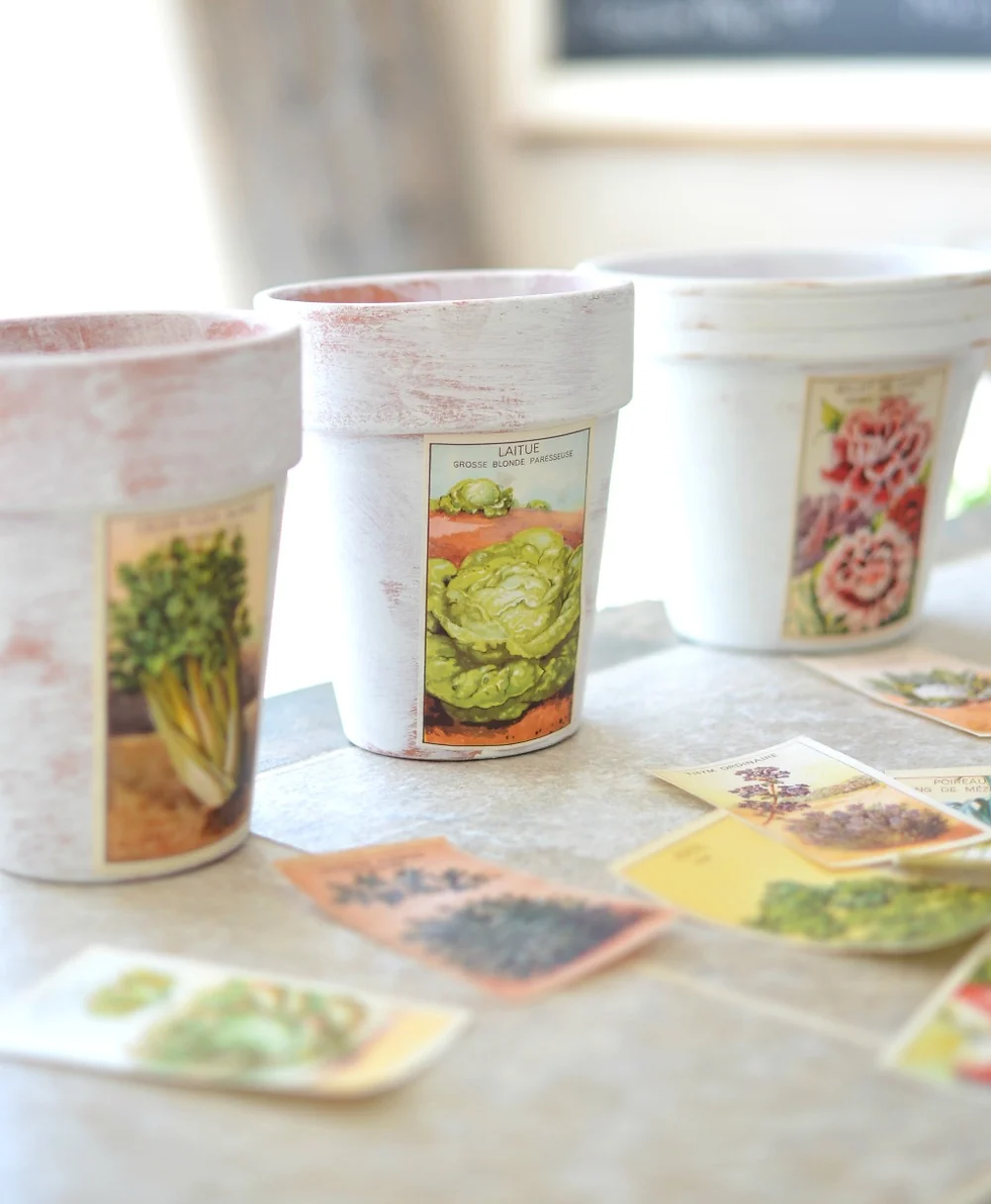 Diy painted pots with vintage seed labels.