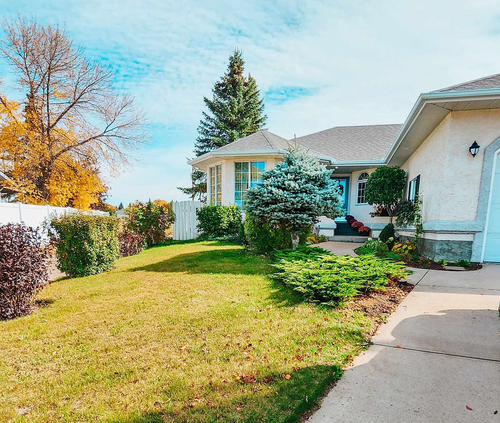 What shrubs to add to your landscape.