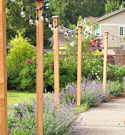 Sunday Bits #76 (potatoes, ground covers, and what to plant after bulbs)