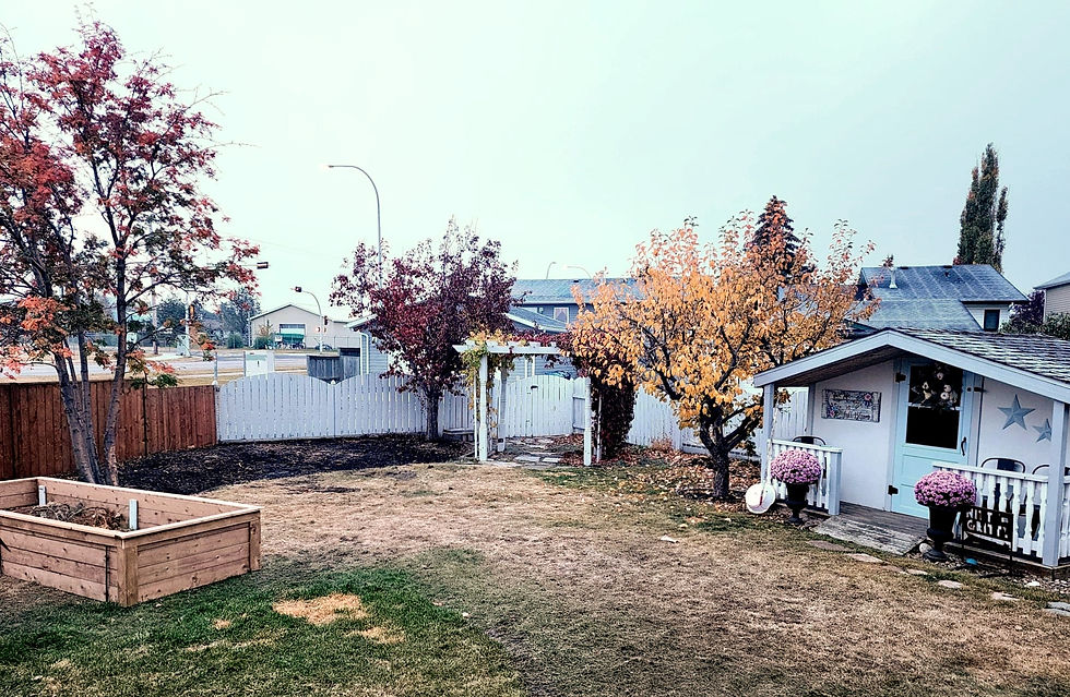 A sweet she shed, arbour, raised beds, and lawn.