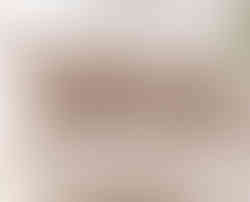 Ruffled pillow shams in taupe.