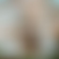 Get Your Gardens Ready for (Old Man) Winter