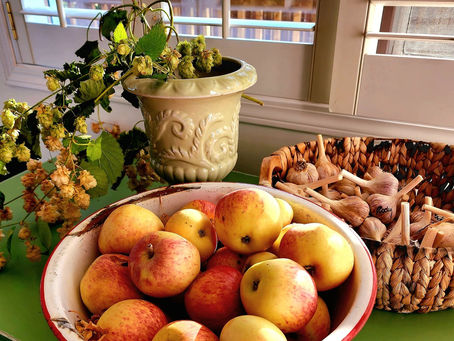 Bits of This and That #1 - Home and Garden Inspiration