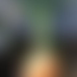 Four Simple Methods  To Start  Onions From Seed