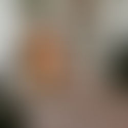 Sunday Bits #55 (Remembrance Day, the holidays, making bows, hearts)