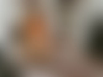 Sunday Bits #55 (Remembrance Day, the holidays, making bows, hearts)