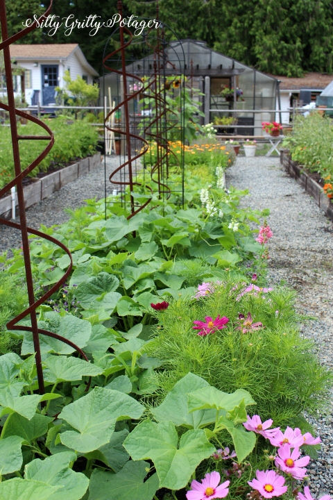 Potager gardening is growing flowers with edibles.