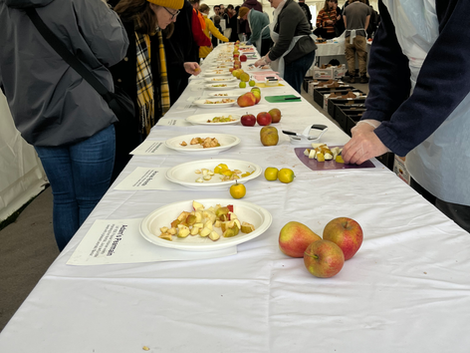 The apple experiment