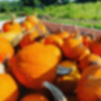 E43B8B19-A4EA-4D82-BBB2-7BA155727AB3_edited.jpg