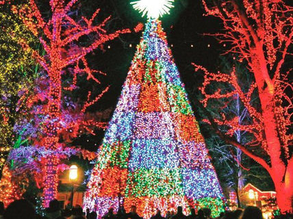 Springfield Christmas Events 2017