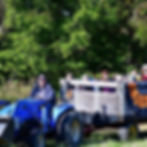 IMG_2057.webp