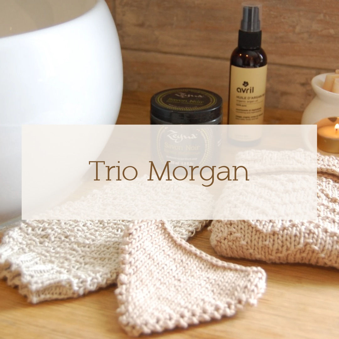 Trio Morgna pdf