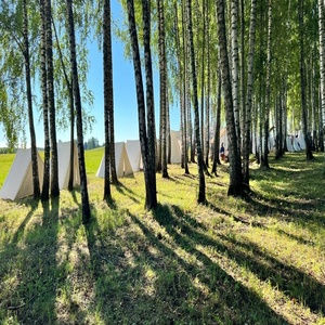 Интерактивные шахматы