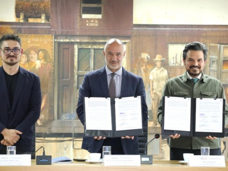 Román Meyer diseñó los nuevos CECI IMSS