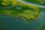 GREEN 11