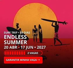 SURF TRIP ENDLESS SUMMER 2027.jpg