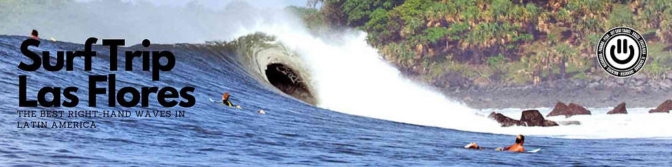 capa surf trip las flores.jpg