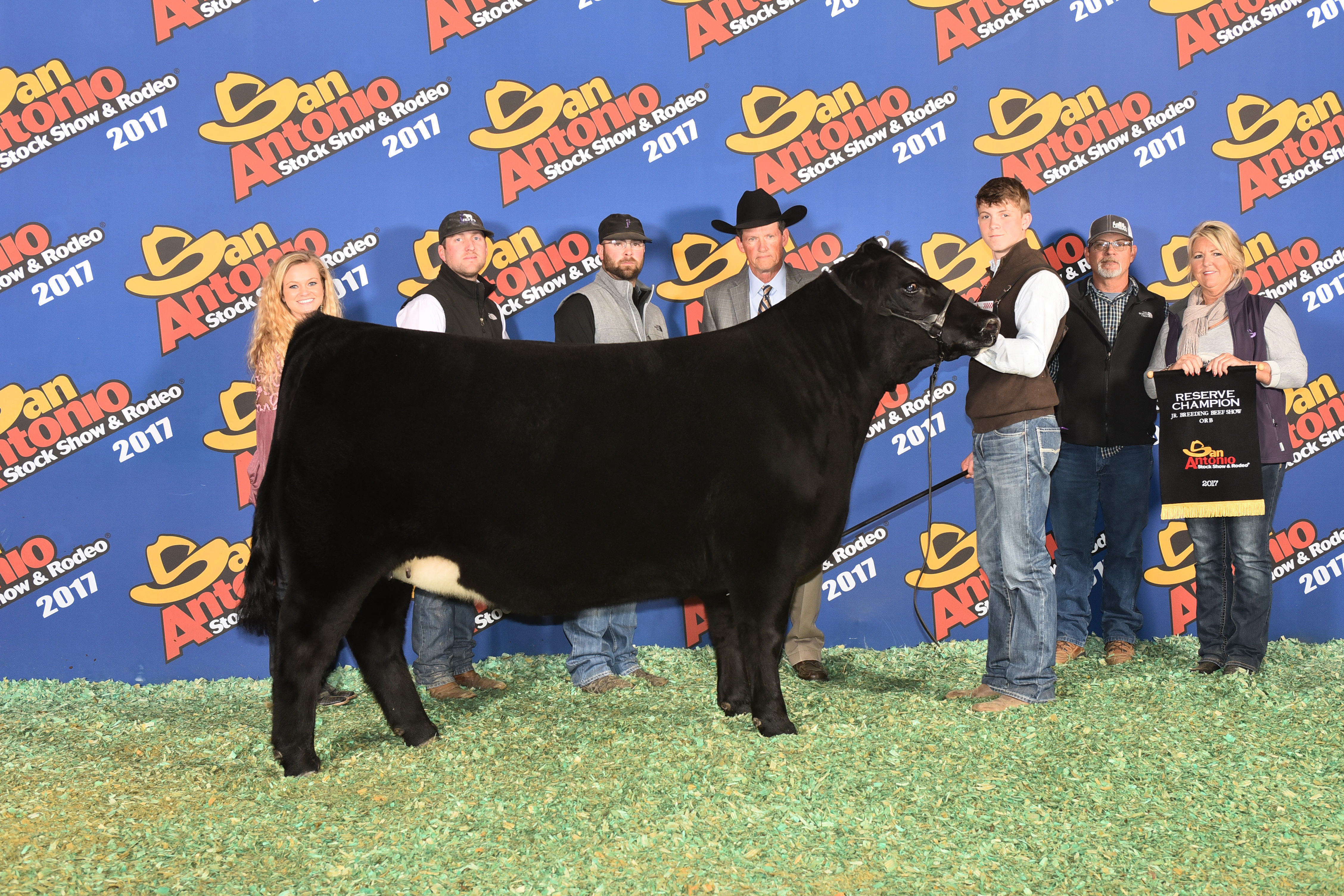 Reserve Champion ORB Heifer