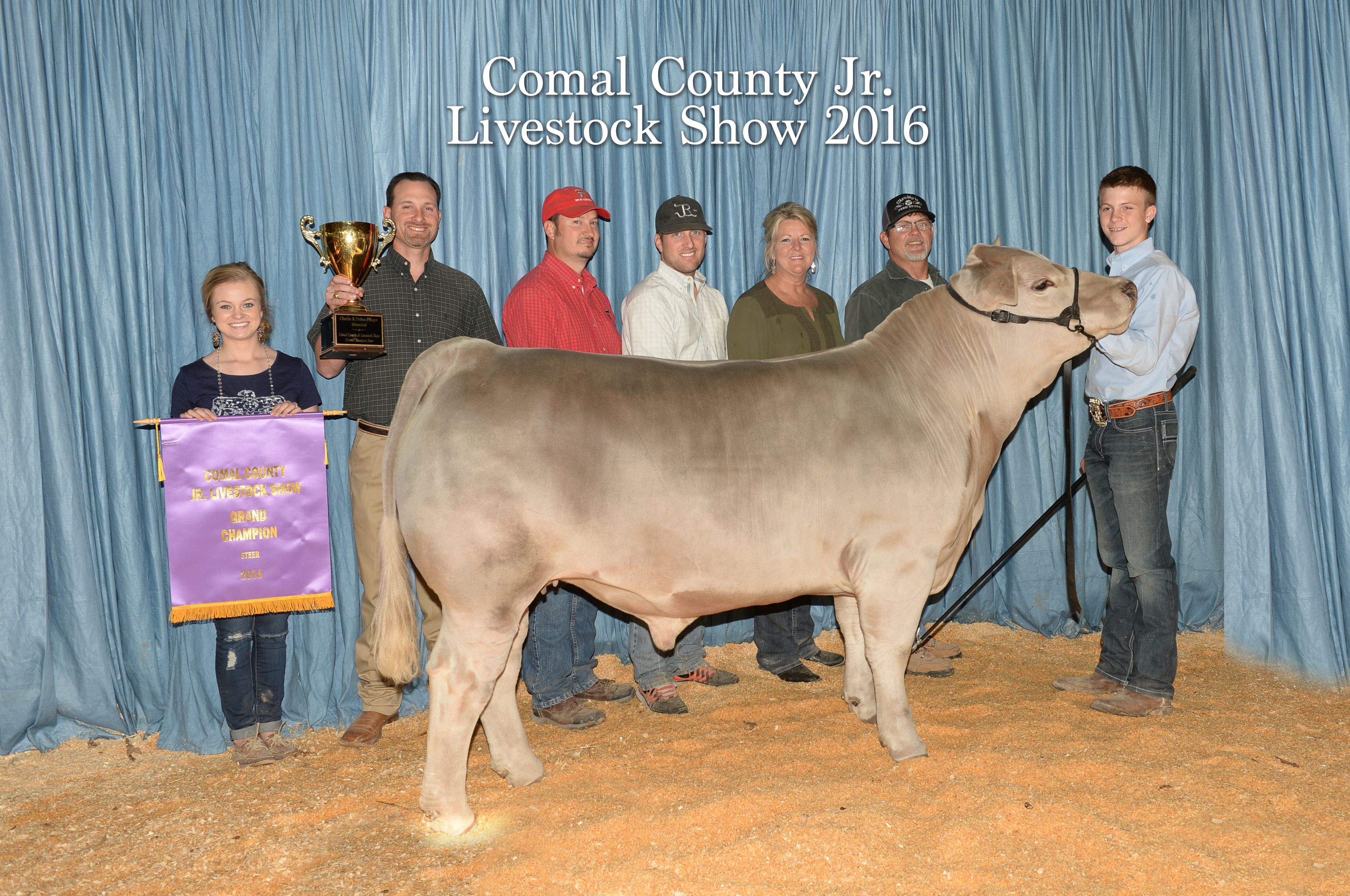 Grand Champion Steer Comal County