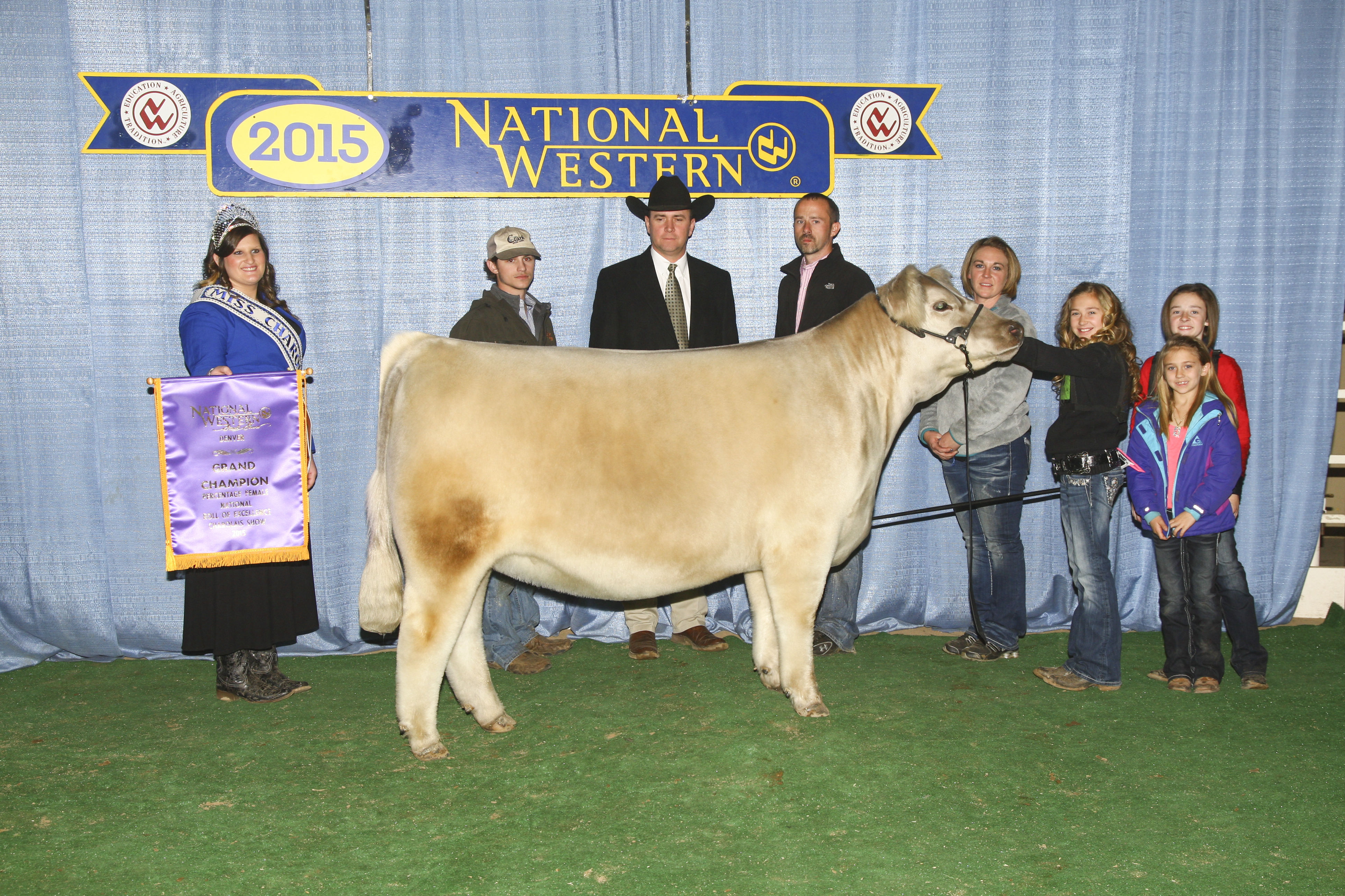 Champion Percentage Charolais 2015