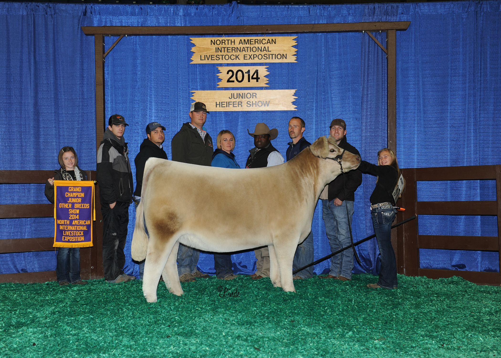 Champion AOB 2014 NALE
