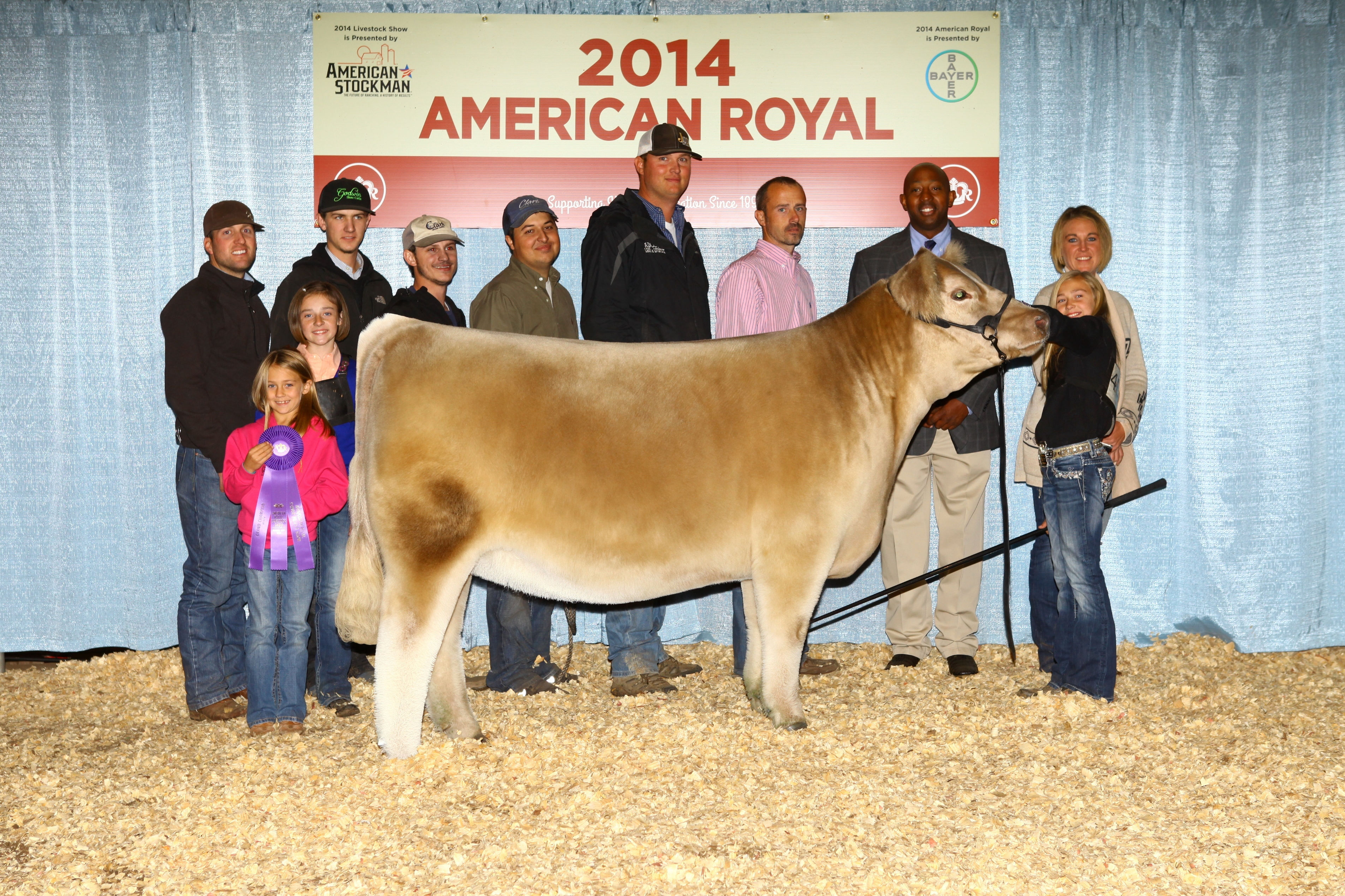 Champion AOB 2014 American Royal