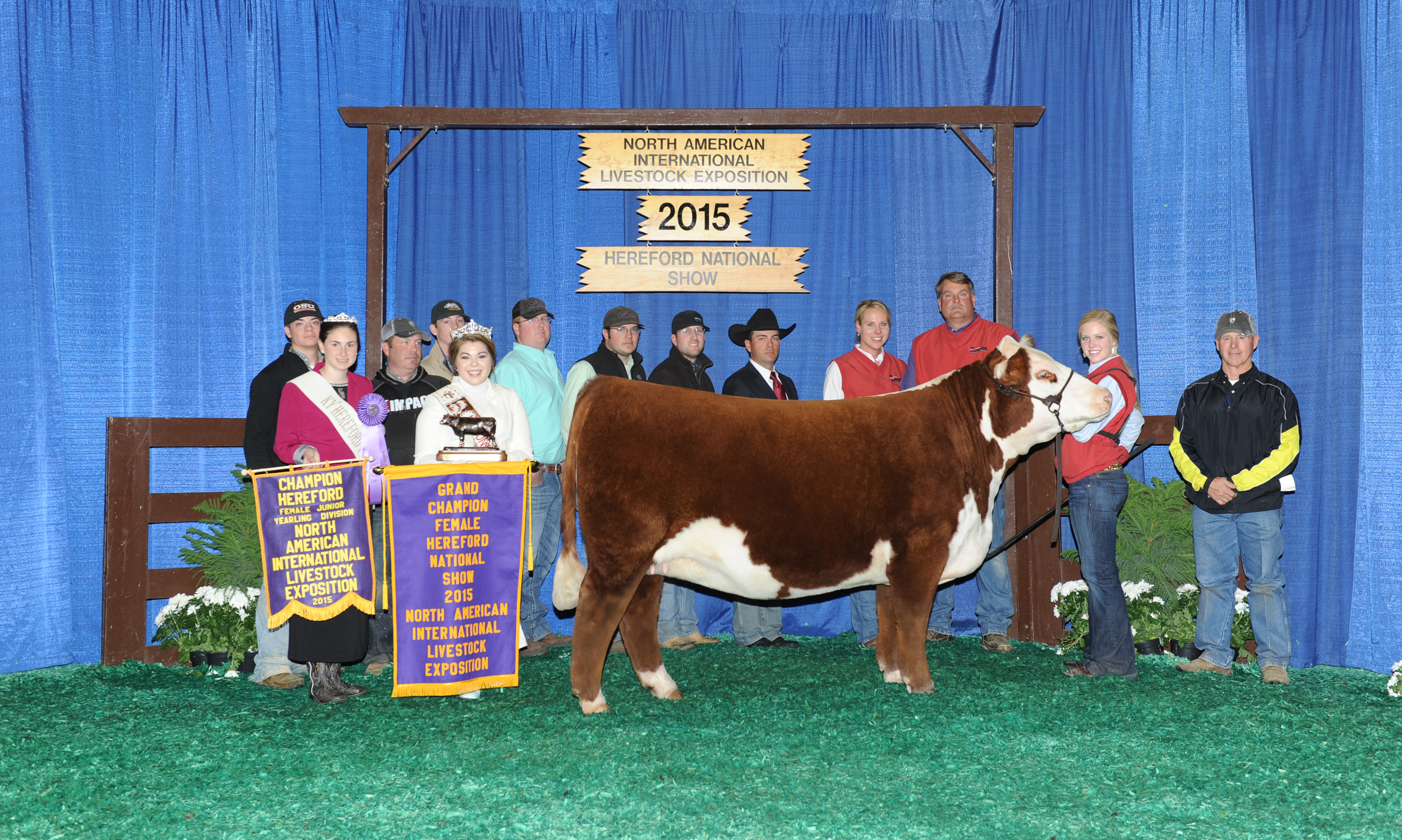 Champion Hereford 2015 NAILE