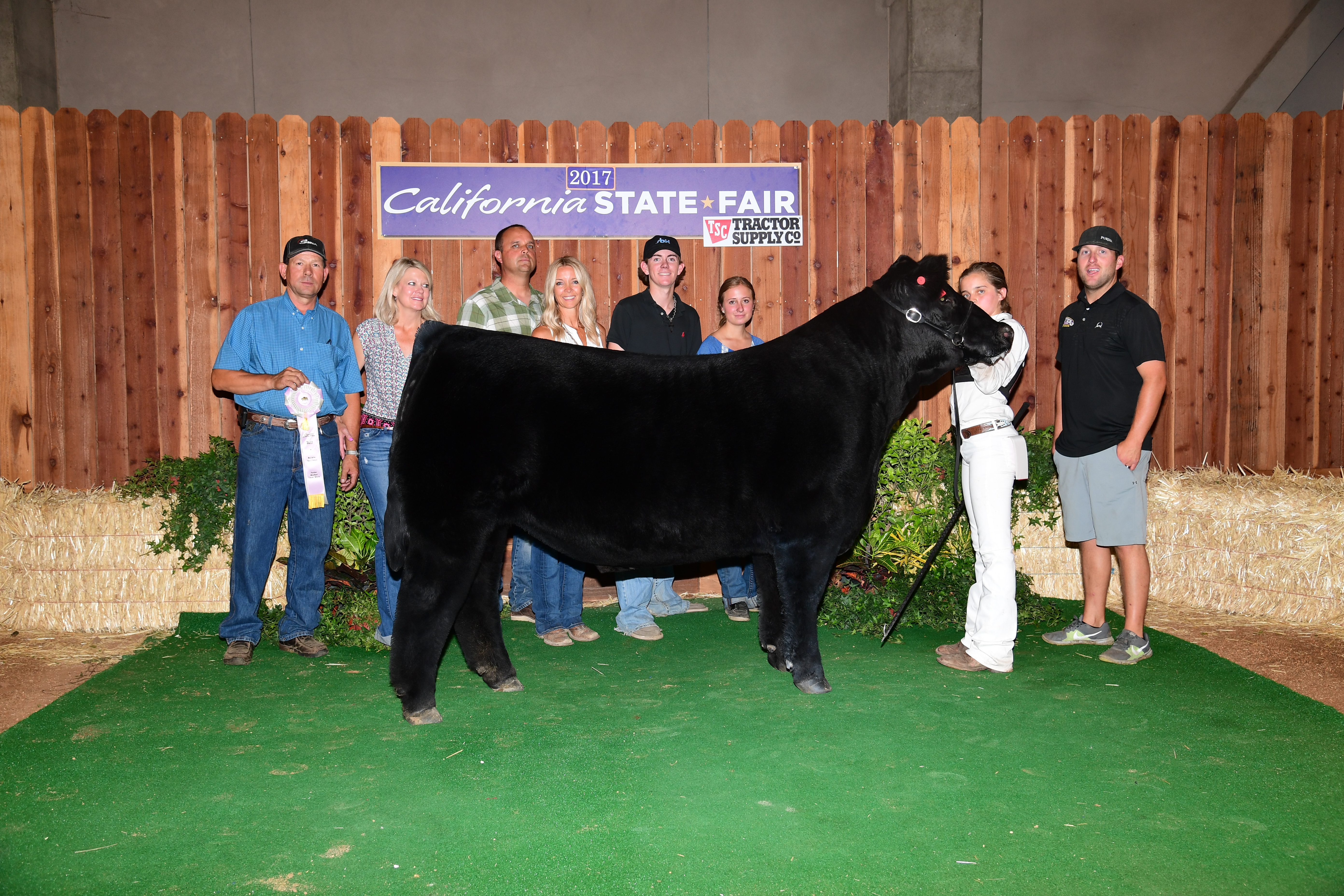 Reserve Champion Black Cross