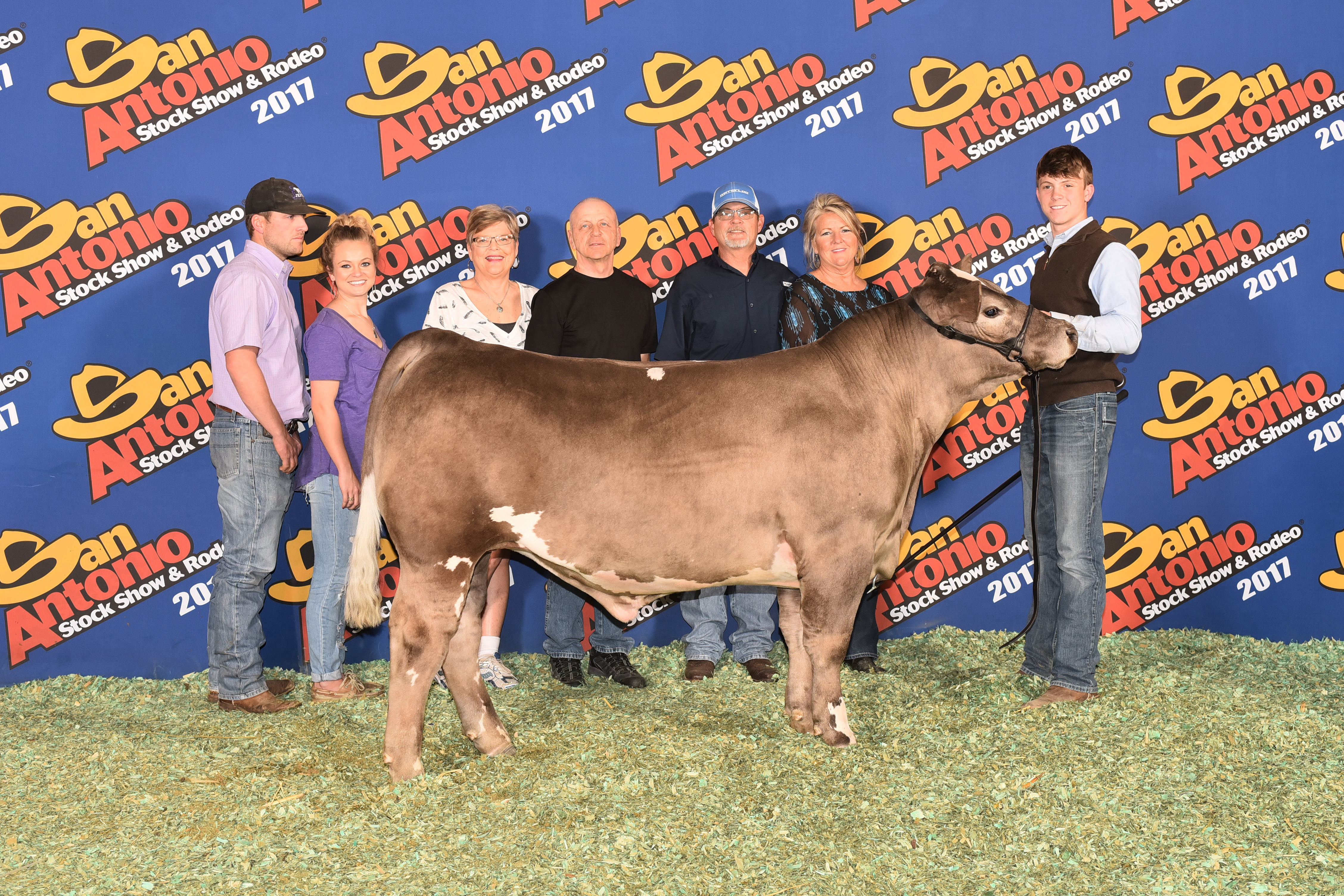 Branded AOB Steer San Antonio 2017