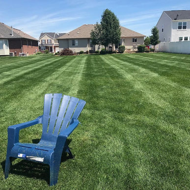 Stafford Lawn Image 1.jpg