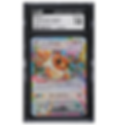 Pokemon Graded