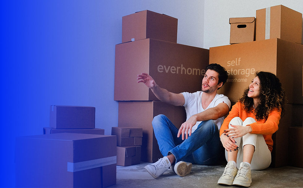 Site Everhome Self 1.jpg