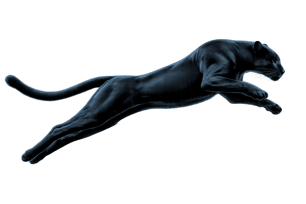 Panther.png