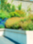 jardin paysagé