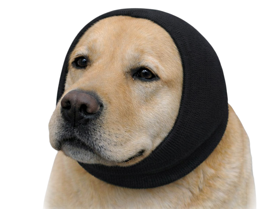 XL Black new_edited.png