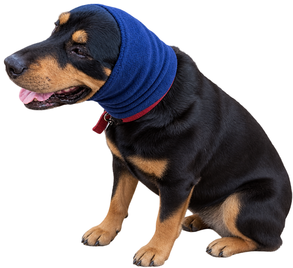new large dog 2.png