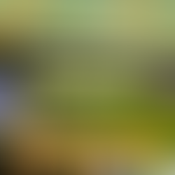 La Copa Mundial 2026 arrancará en México con el partido inaugural