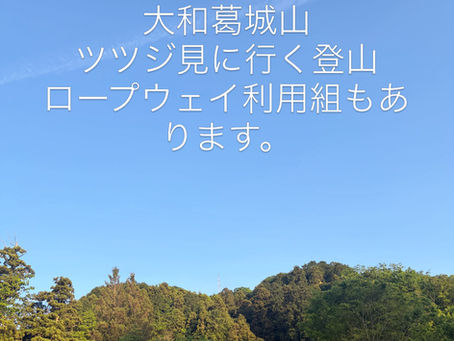 5/23(土)大和葛城山ツツジ見学登山