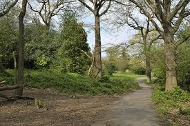 Thumbnail: WELL-BEING PRACTITIONER ONLY