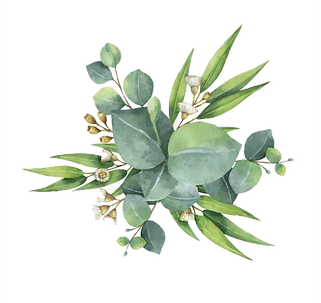 gum-trees-euclidean-vector-leaf-flower-w