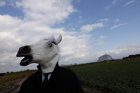 0P0A0995.jpg